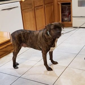 Meet your Posher, Craig